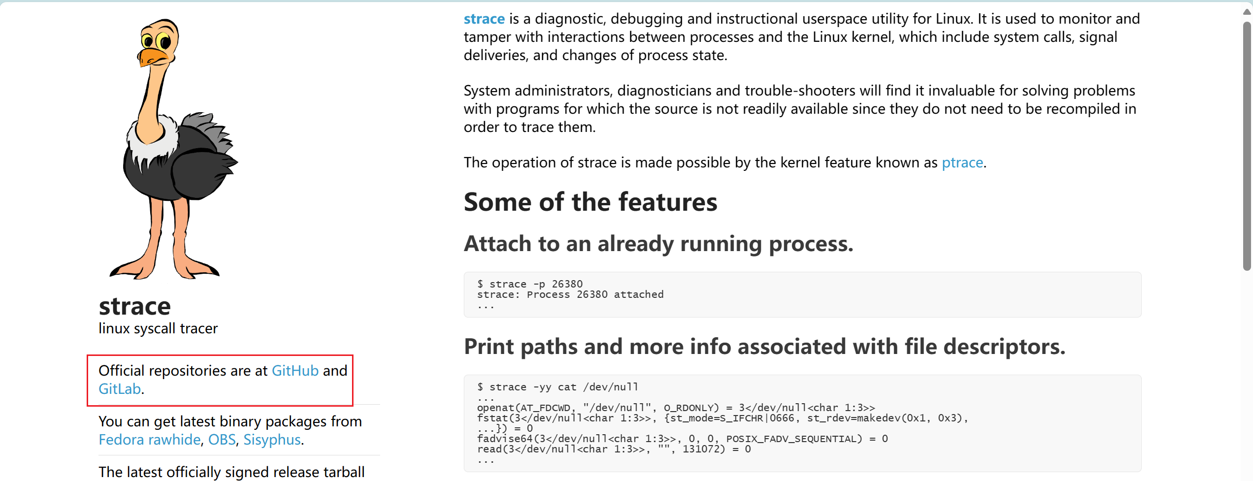 image-20240410074846424