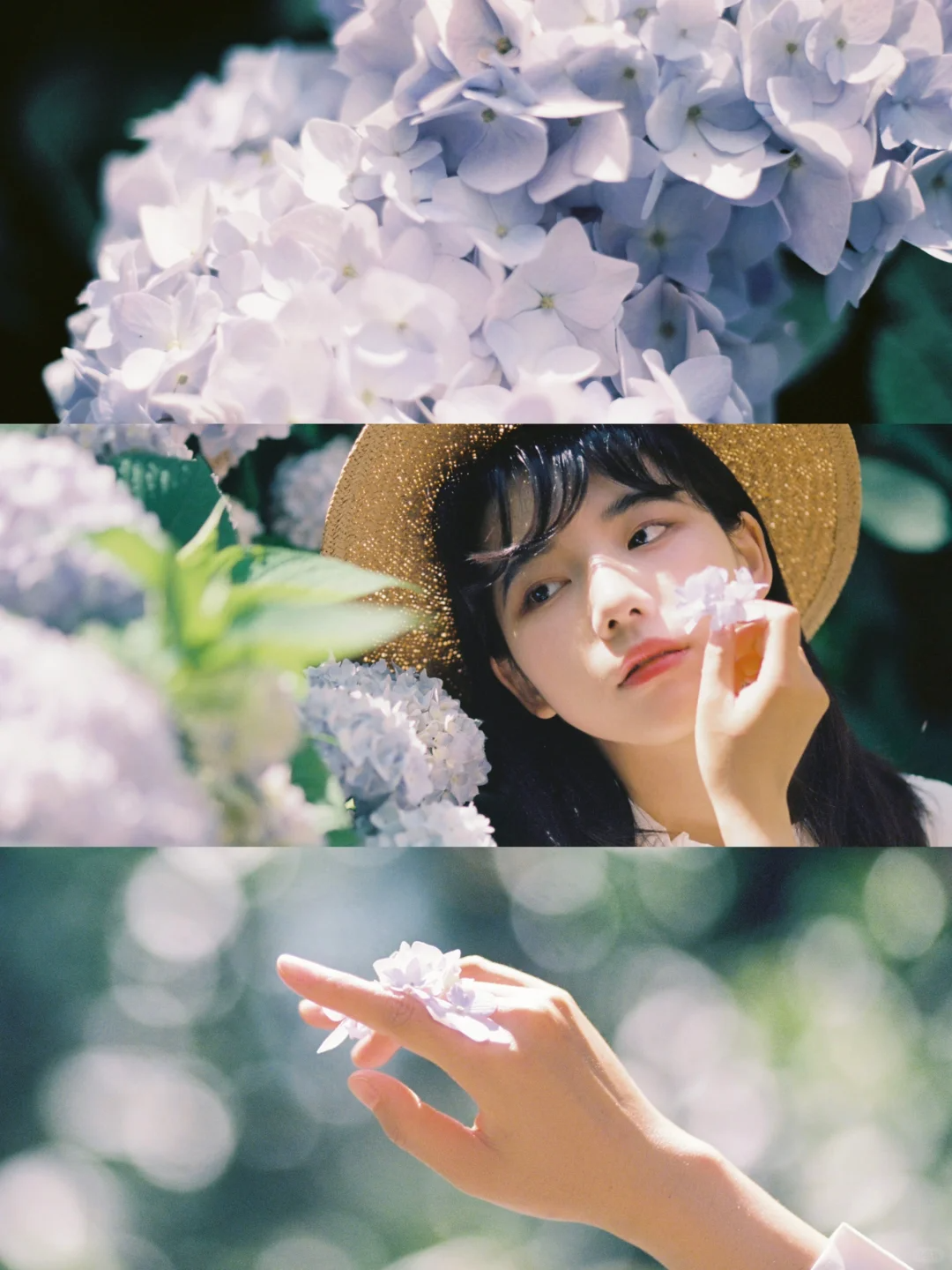 image-20240403194153347