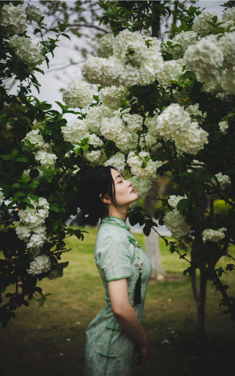 image-20240404204658399